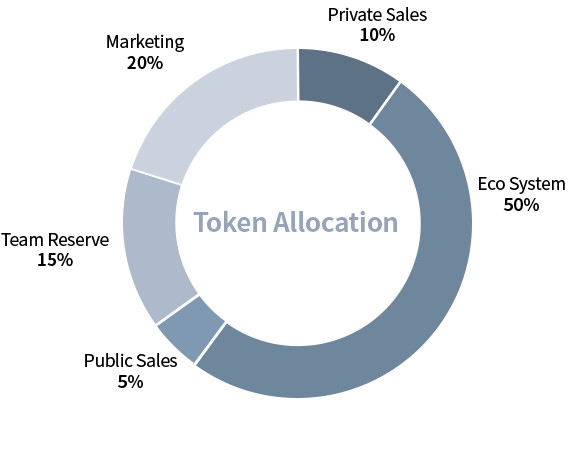 Token Allocation